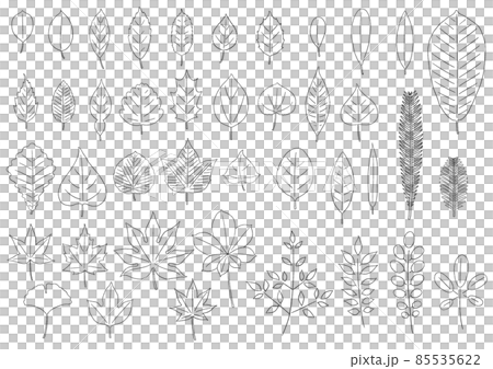 いろんな葉っぱ(線画) 85535622