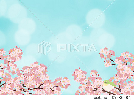 桜とメジロ 85536504