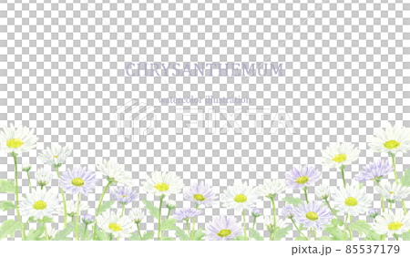 水彩で描いた小菊の下フレーム　花畑 85537179