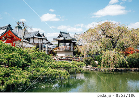 Kibitsu Uka Shrine garden at spring in Okayama, Japan Kibitsu Uka Shrine garden at spring in Okayama, Japan 85537186