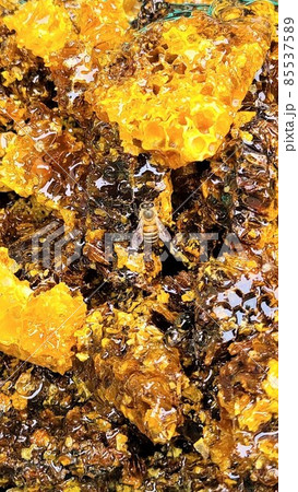 巣蜜とミツバチ　素材　背景 85537589