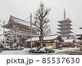 雪の浅草 85537630