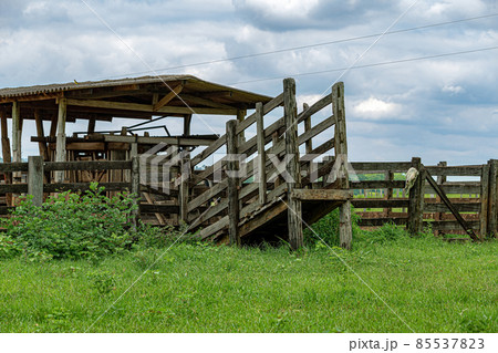 Wooden corral for handling livestock 85537823