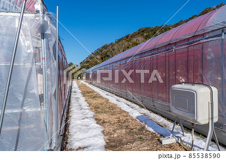 農業用ビニールハウスと灯油タンクと残雪 85538590