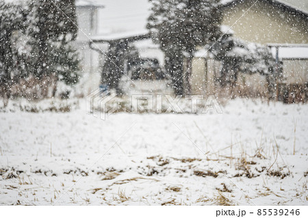 雪が積もっていく風景 雪が積もっていく風景 85539246