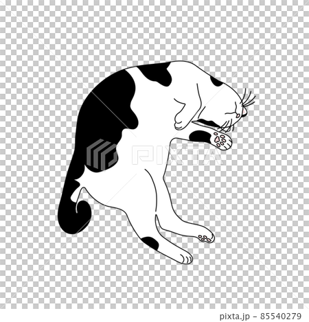寝る白黒猫のリアルタッチなイラスト 85540279