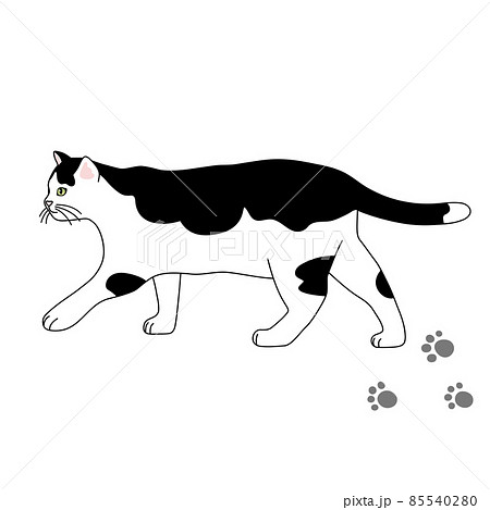 歩く白黒猫のリアルタッチなイラスト 85540280