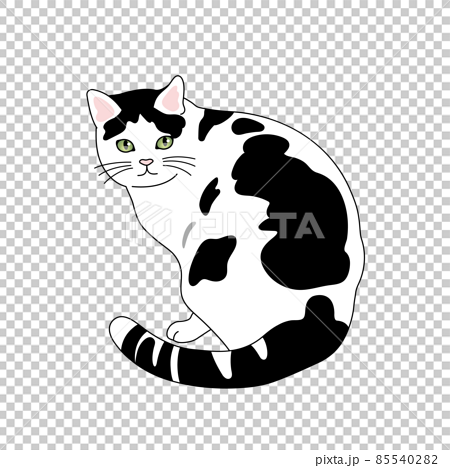 座る白黒猫のリアルタッチなイラストのイラスト素材