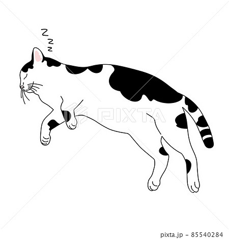 寝る白黒猫のリアルタッチなイラストのイラスト素材
