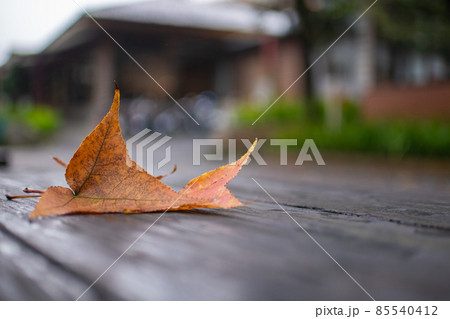 雨 雨ふり 雨が降って 85540412