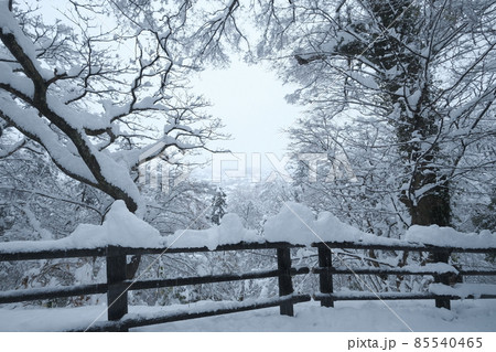 豪雪の越前大野 豪雪の越前大野 85540465