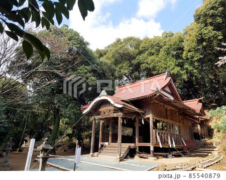 熊本市東区　戸島神社 85540879