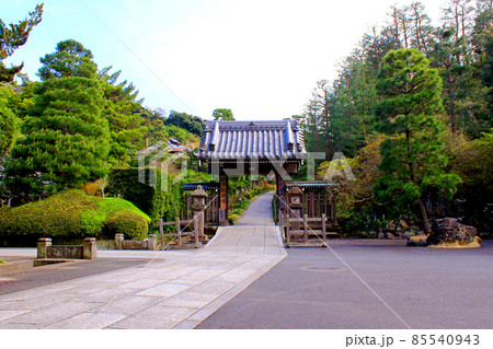 【神奈川】春の鎌倉　建長寺専門道場の門 85540943
