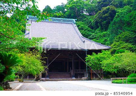 鎌倉市大町の古寺、日蓮宗の本山の妙本寺の祖師堂 鎌倉市大町の古寺、日蓮宗の本山の妙本寺の祖師堂 85540954