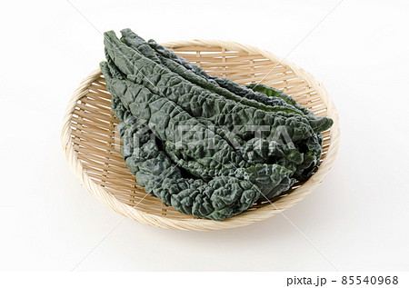 黒キャベツ 黒キャベツ 85540968