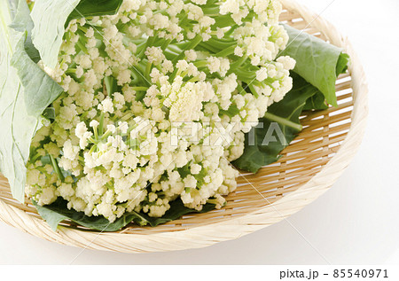 スティックカリフラワー カリフローレ 85540971