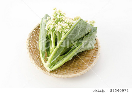 スティックカリフラワー カリフローレ スティックカリフラワー カリフローレ 85540972