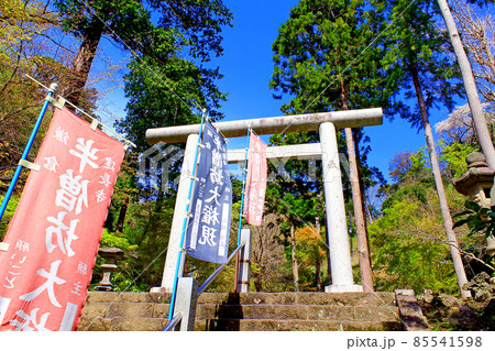 【神奈川】春の鎌倉 建長寺半僧坊の鳥居 【神奈川】春の鎌倉 建長寺半僧坊の鳥居 85541598