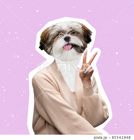 Contemporary artwork, conceptual collage. Cute dog with female body isolated on pink background. Trendy colors. Concept of fashion 85541948
