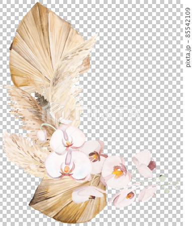 Watercolor Bohemian bouquet with dried leaves and tropical flowers illustration 85542109