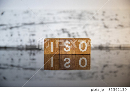 ビジネスイメージ（IT用語編）ブロック文字ISO 85542139