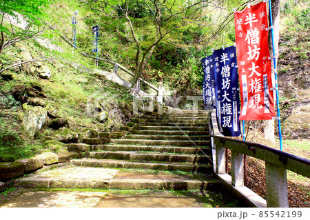 【神奈川】春の鎌倉　建長寺半僧坊へ続く階段 85542199