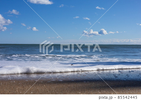 茨城県日立市　鵜の島海岸の浜辺 85542445