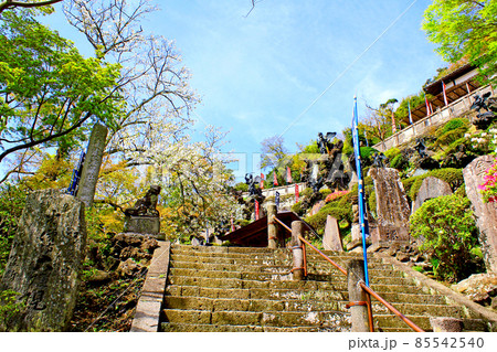 【神奈川】春の鎌倉・建長寺半僧坊　階段から見上げる真殿前の天狗像 85542540