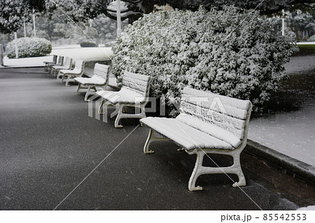 雪の積もった山下公園のベンチ 85542553