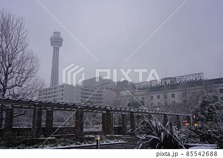雪景色の中の山下公園 雪景色の中の山下公園 85542688