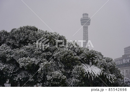 雪景色の中の山下公園 雪景色の中の山下公園 85542698