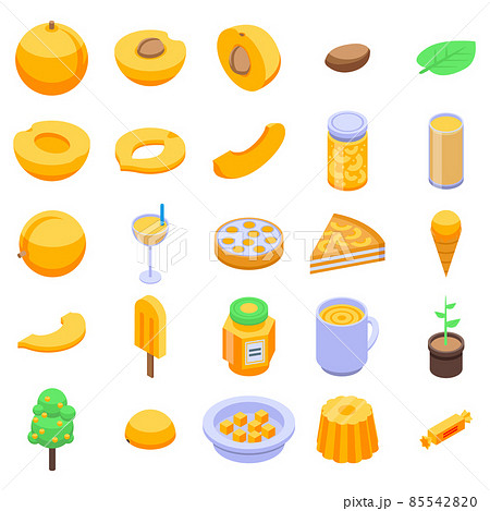 Apricot icons set, isometric style 85542820
