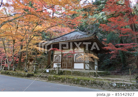 広島県三原市にある佛通寺境内の経蔵と紅葉の風景 85542927