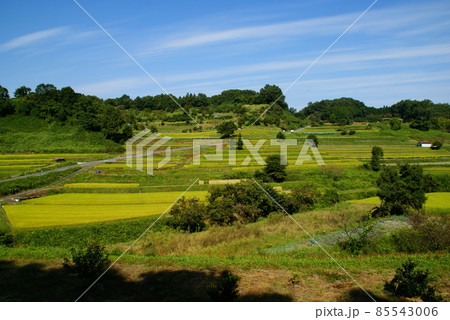 明日香村・稲渕 85543006