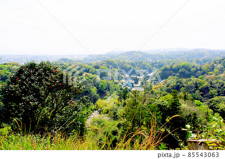 【神奈川】春の鎌倉・建長寺半僧坊　勝上嶽展望台から見渡す絶景 85543063