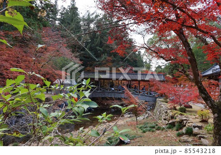 広島県三原市の佛通寺境内入り口山門と佛通寺川に架かる巨蟒橋と紅葉の風景 広島県三原市の佛通寺境内入り口山門と佛通寺川に架かる巨蟒橋と紅葉の風景 85543218