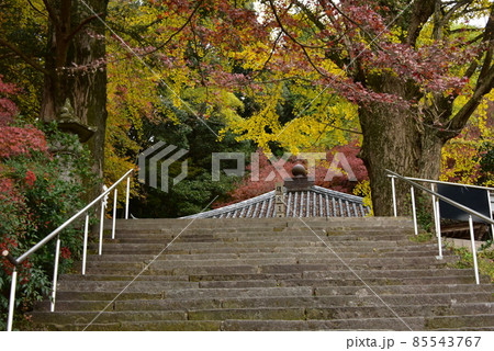 大分県　国東半島　富貴寺の紅葉 85543767