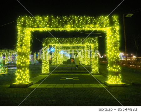 ぐんまフラワーパーク　イルミネーション 85544833