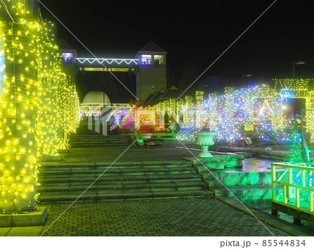 ぐんまフラワーパーク　イルミネーション 85544834
