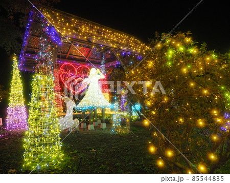 ぐんまフラワーパーク　イルミネーション 85544835