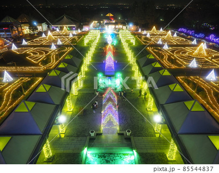 ぐんまフラワーパーク　イルミネーション 85544837