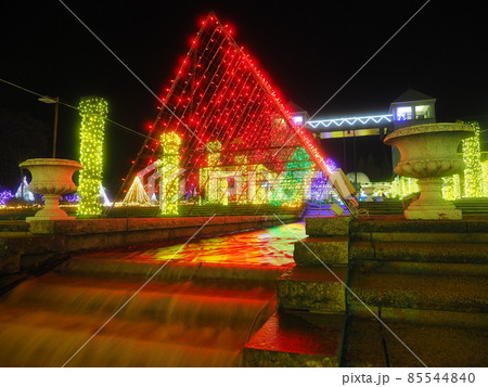 ぐんまフラワーパーク　イルミネーション 85544840