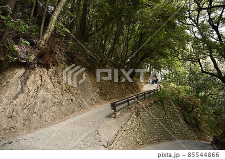 地層が見える登山道　高尾山登山道一号路　車も通る高尾山薬王院参道　真言宗大本山 85544866