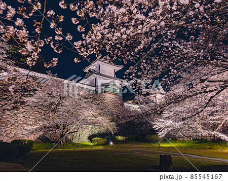 金沢城と夜桜ライトアップ 85545167