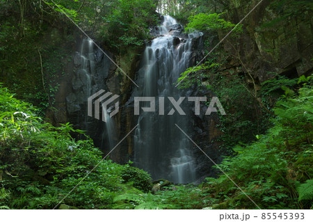 光芒が差し込む真夏のトヤの夫婦滝2 岡山県津山市 光芒が差し込む真夏のトヤの夫婦滝2 岡山県津山市 85545393
