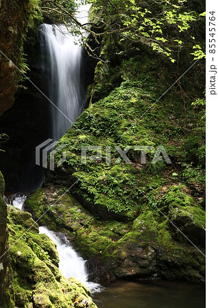 瀬戸の滝 (高知県南国市桑ノ川 黒滝 瀬戸神社) 瀬戸の滝 (高知県南国市桑ノ川 黒滝 瀬戸神社) 85545764
