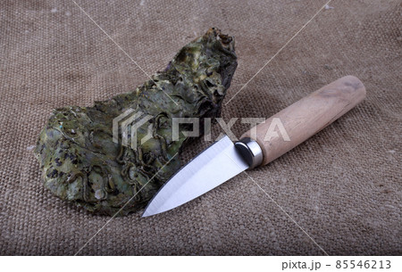 Oyster and knife on bagging 85546213