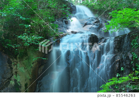 真夏のトヤの夫婦滝の夫滝7　岡山県津山市 85546263