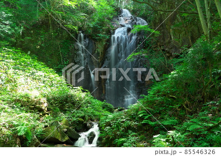 真夏のトヤの夫婦滝8 岡山県津山市 真夏のトヤの夫婦滝8 岡山県津山市 85546326