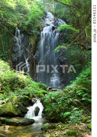 真夏のトヤの夫婦滝7 岡山県津山市 真夏のトヤの夫婦滝7 岡山県津山市 85546331